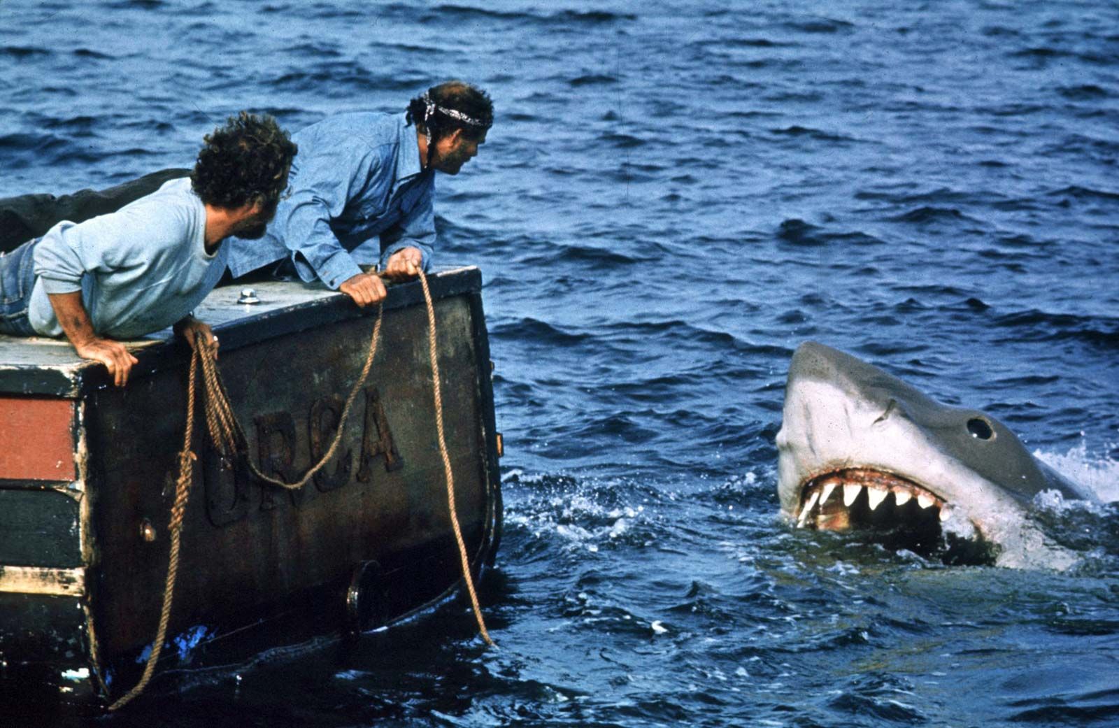 “Jaws” and the fable of familyhood